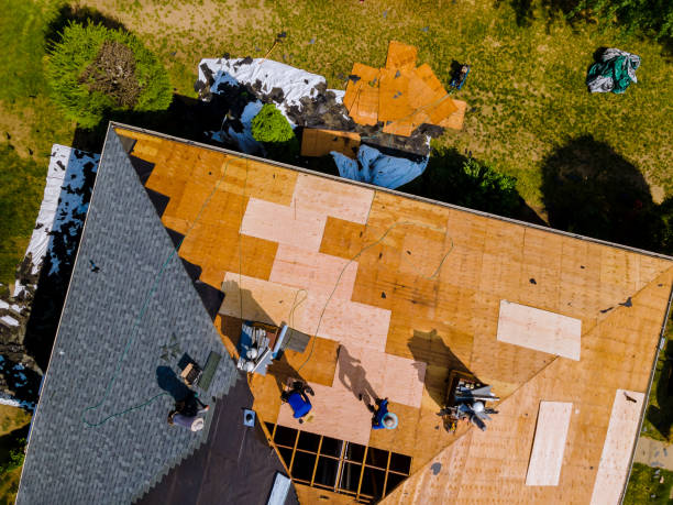 Best Best Roofing Contractors  in University Place, WA