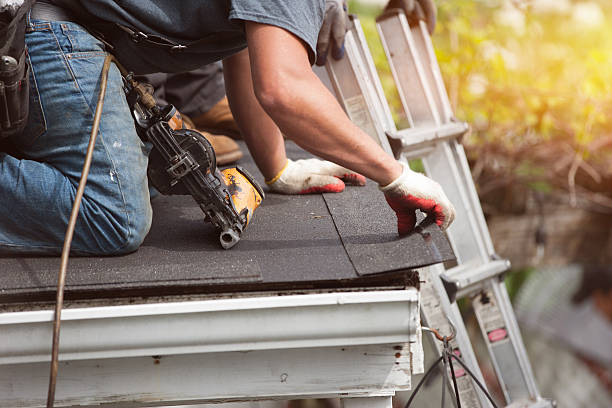 Best Metal Roofing Contractor  in University Place, WA